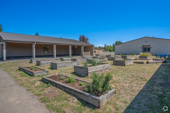 Aloha students grow a variety of plants in the community gardens at Indian Hills Elementary.