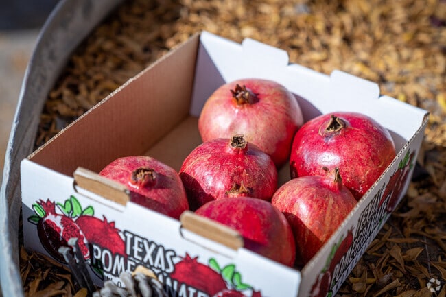 Explore 19 varieties of pomegranates at Marcelino Pomegranate Orchards.