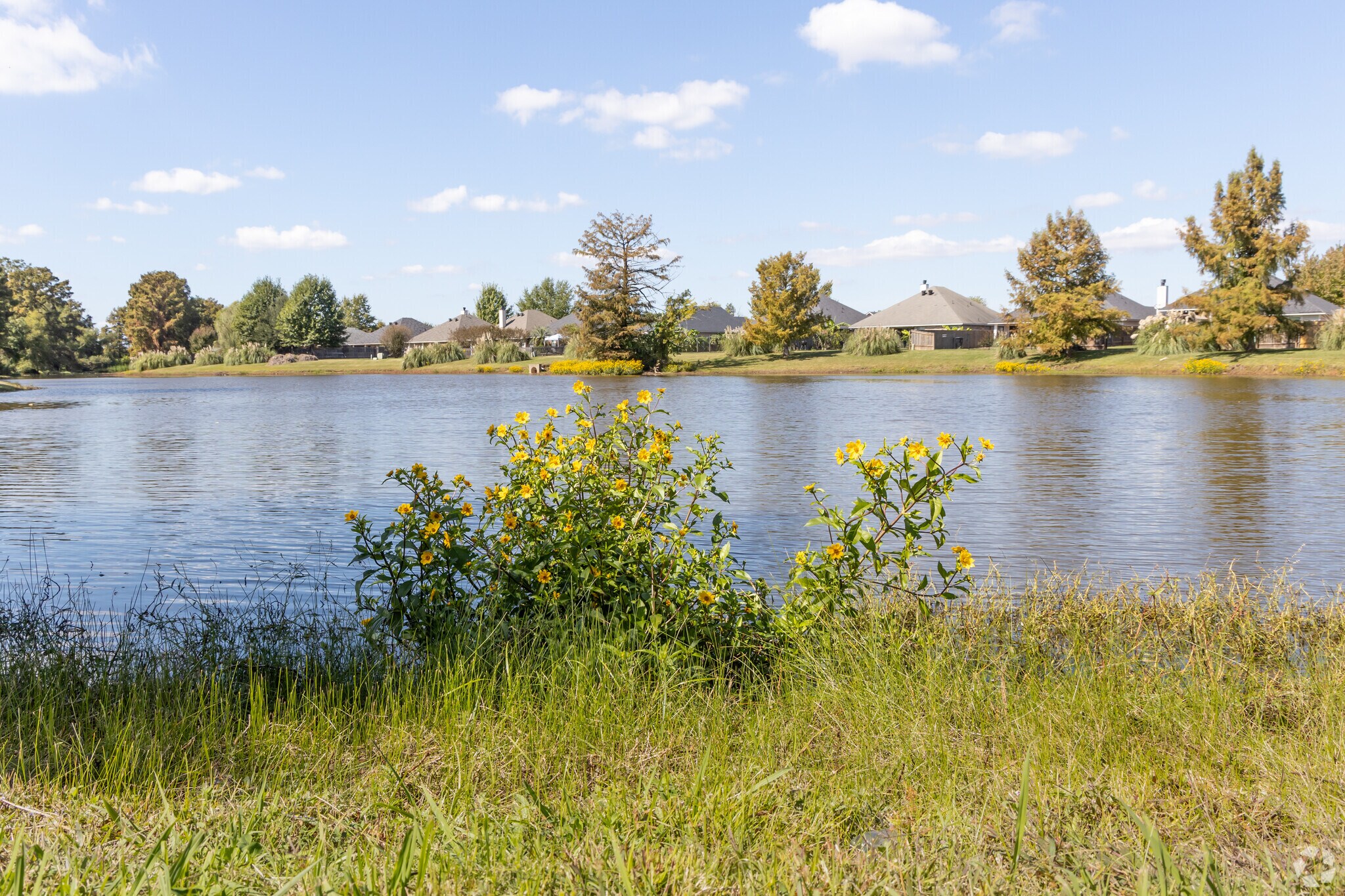 The water features are around Louisiana are popular with residents and never too far away.