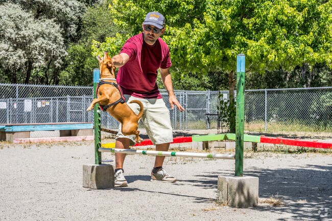 Your dog will love the dog park at Western Gateway Park.