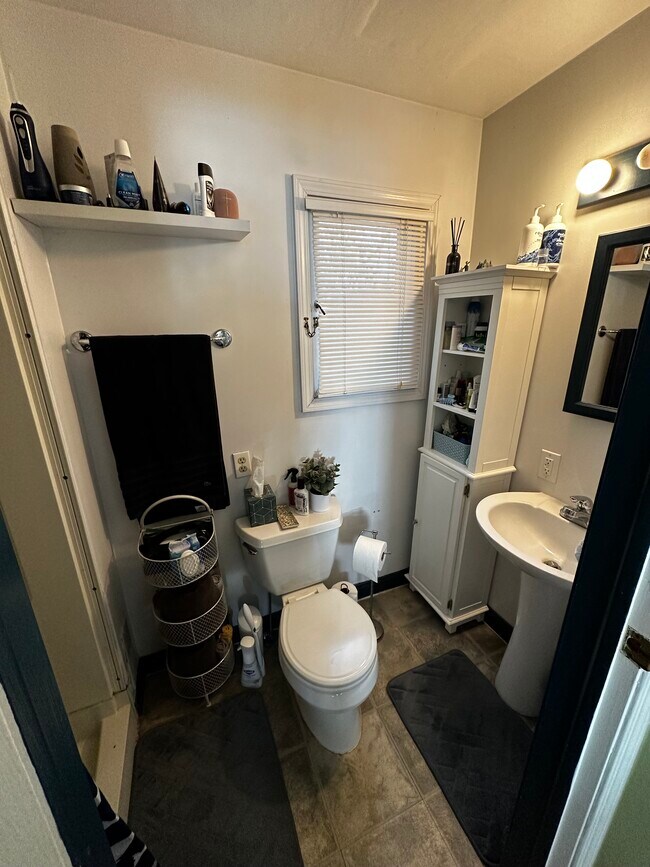 337 Beakes St, Ann Arbor, MI 48104 - photo 7