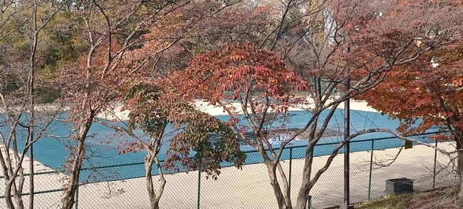 Idylwood Towers unit 812E, Falls Church, VA 22043 - photo 2