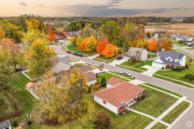 Garrett's trees turn bright shades of orange during the fall months.