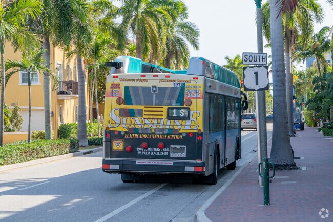 Public buses in Tropic Isle provide reliable transportation throughout the area.