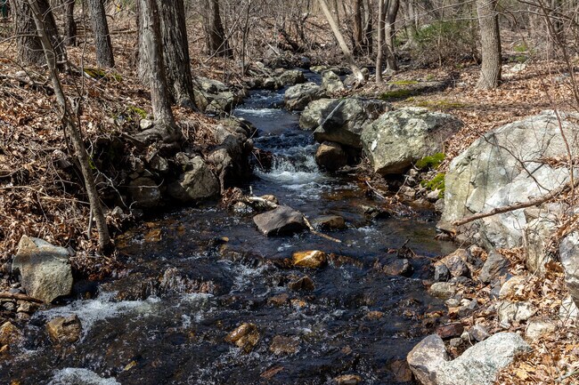 Gaze upon Stoney Brook as you take on the reservation trails in Upper Washington-Spring St.