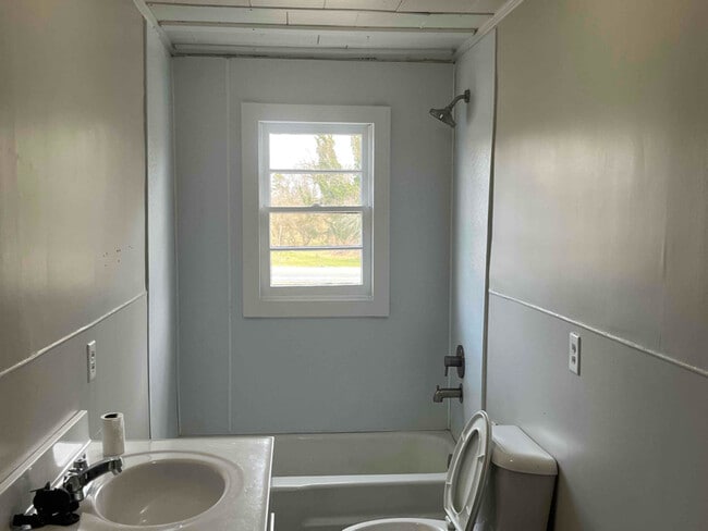 8402 Duncan Bridge Rd, Cleveland, GA 30528 - photo 4