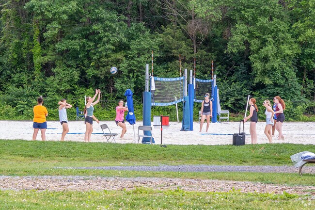 Girls volleyball competitions go on at Clear Brook Park.