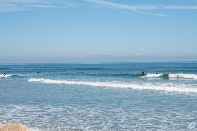 Surfers of Telegraph Hill shred the waves at Nantasket Beach.