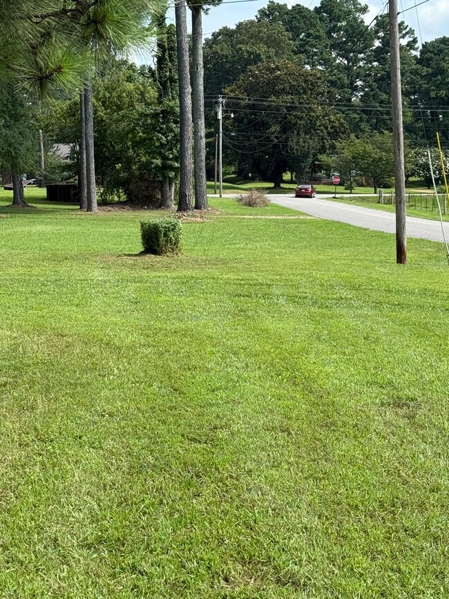 Big Yard