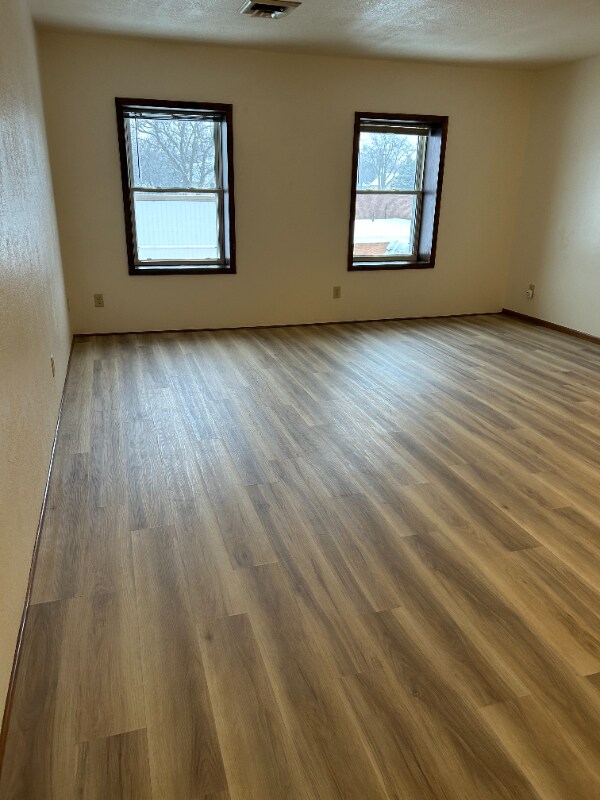 215 Main St N unit Apartment 1, Minnesota Lake, MN 56068 - photo 3