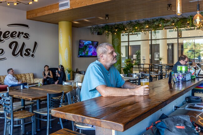 Owentown locals head into Downtown Tyler's True Vine Brewing for happy hour.