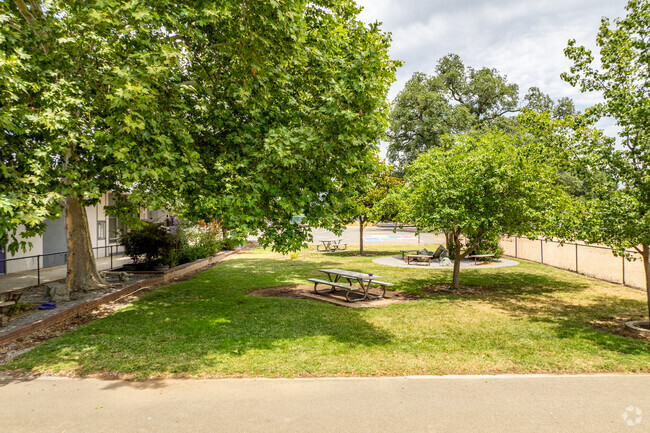 Lush trees provide shade at Junction Elementary School.