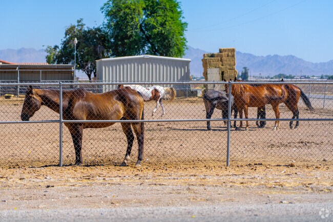 Ripley is perfect for those who enjoy being outdoors to enjoy the surrounding desert.