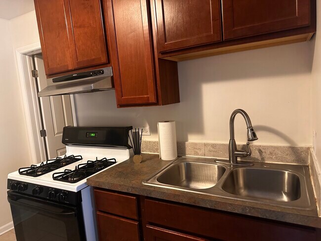 4700 W Hutchinson St unit First Floor, Chicago, IL 60641 - photo 6