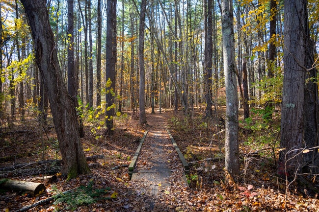 The trail at Powwow River Woodlands offers a peaceful forest walk.
