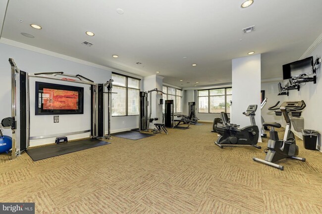 The Market Street Condos unit 55, Reston, VA 20190 - photo 3