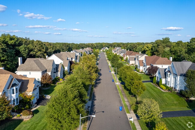 Live on a tree lined street in Mount Laurel, NJ.