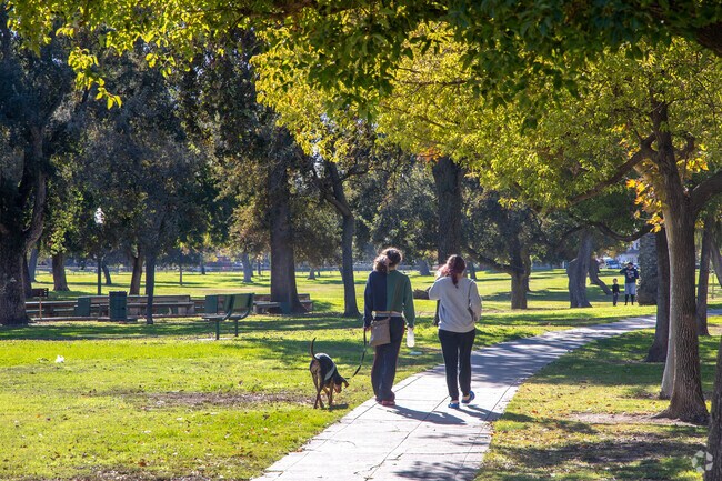 Go with a friend and take your dog for a walk at Victory Park.