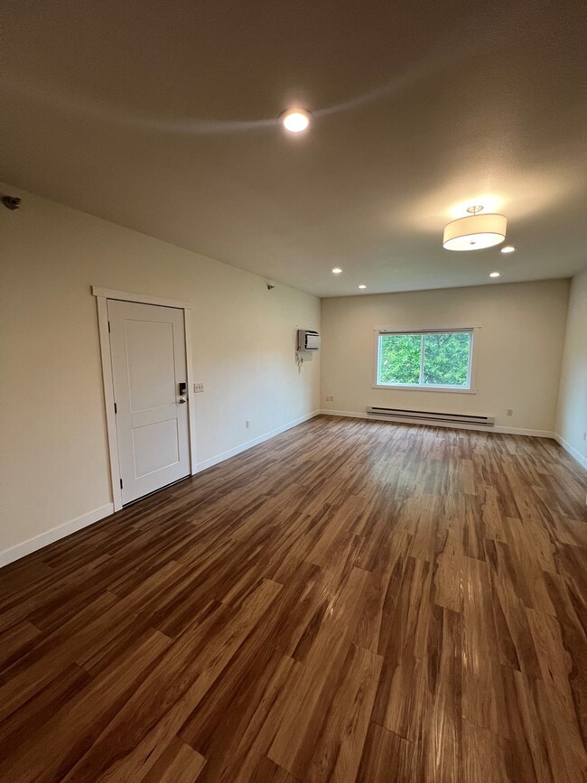 Apt 103 Living Space