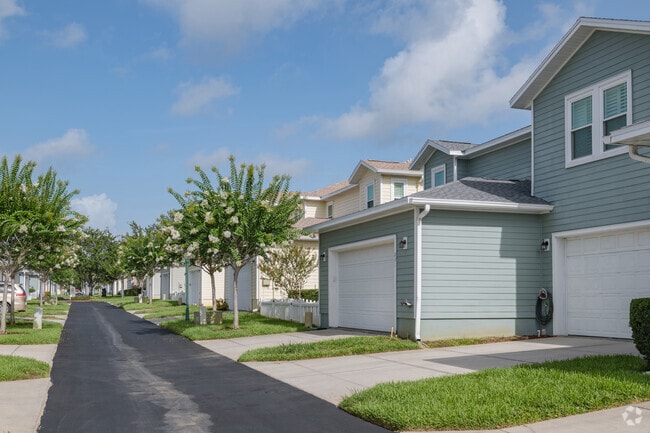 Spectacular trees line the street of a townhome development in Palm Hill.