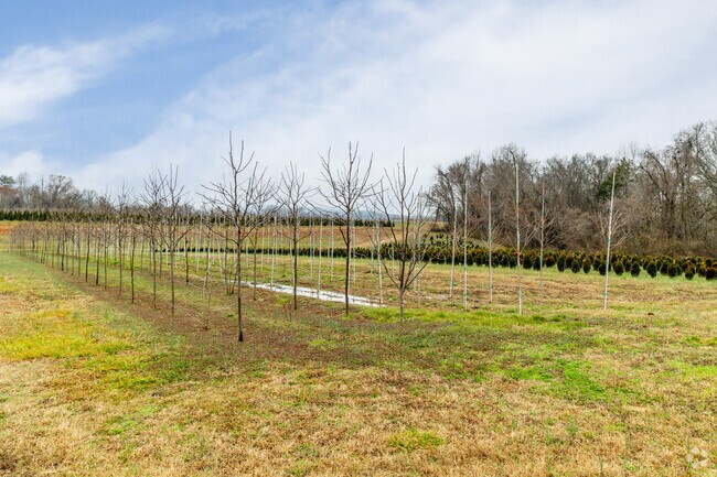 McMinnville is known as the 