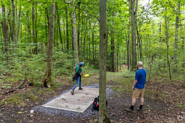 Try some disk golf with your Elder friends at Prince Gallitzin State Park.