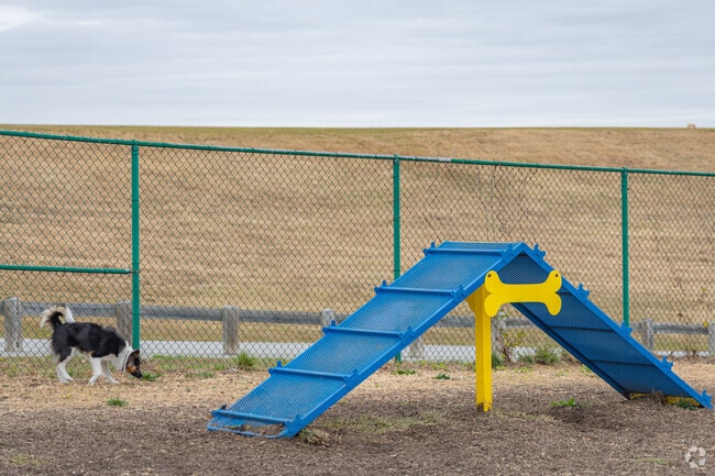 Bring your dog to Abingdon Dog Park for fun, exercise, and new friends.