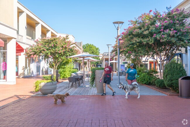 Stony Point Fashion Park is a popular dog-walking location for many residents of Huguenot.