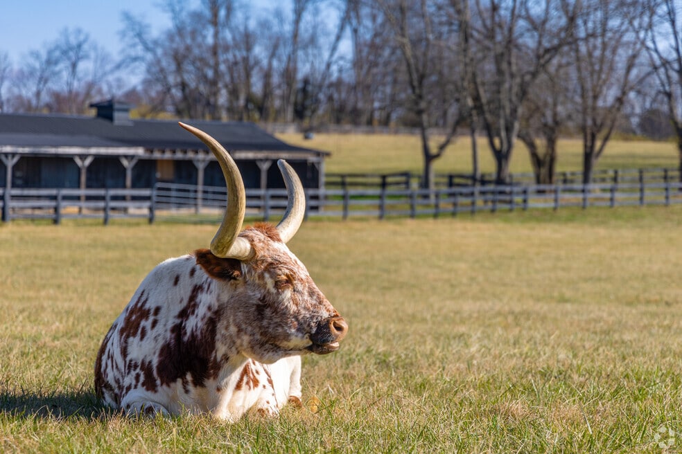 NH_Wyandotte_526460_P2_V2_040925