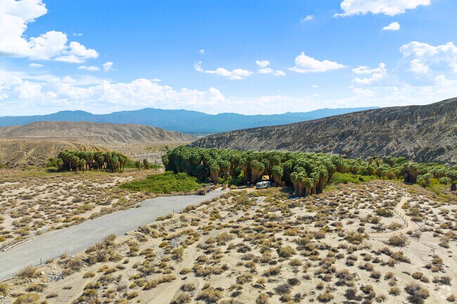 Experience the natural splendor of the Coachella Valley Preserve in Thousand Palms, CA.