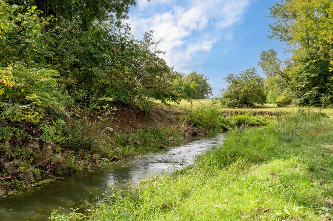 Hominy Creek, the namesake of Hominy Branch, flows from Hominy Branch towards downtown.