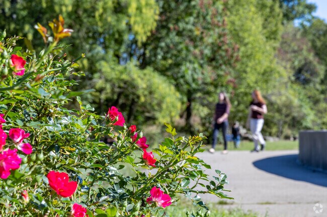 Mount Auburn has many parks where you can enjoy an afternoon.