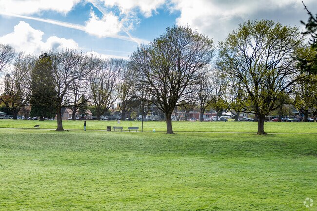 A dog walker enjoys the open park early in the morning in the Kenton neighborhood.