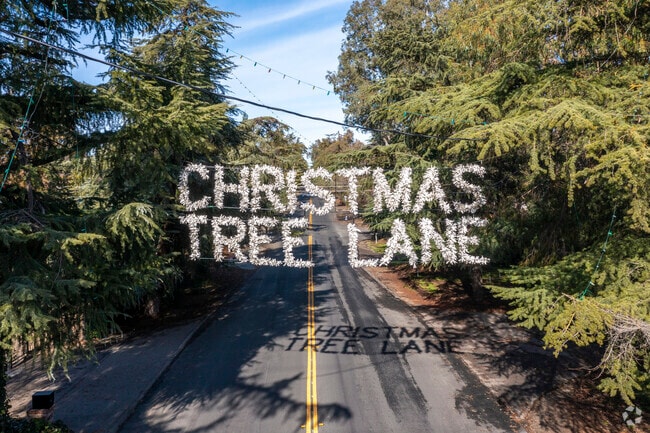 Christmas Tree Lane is a popular annual event in Fresno's Fig Garden neighborhood.