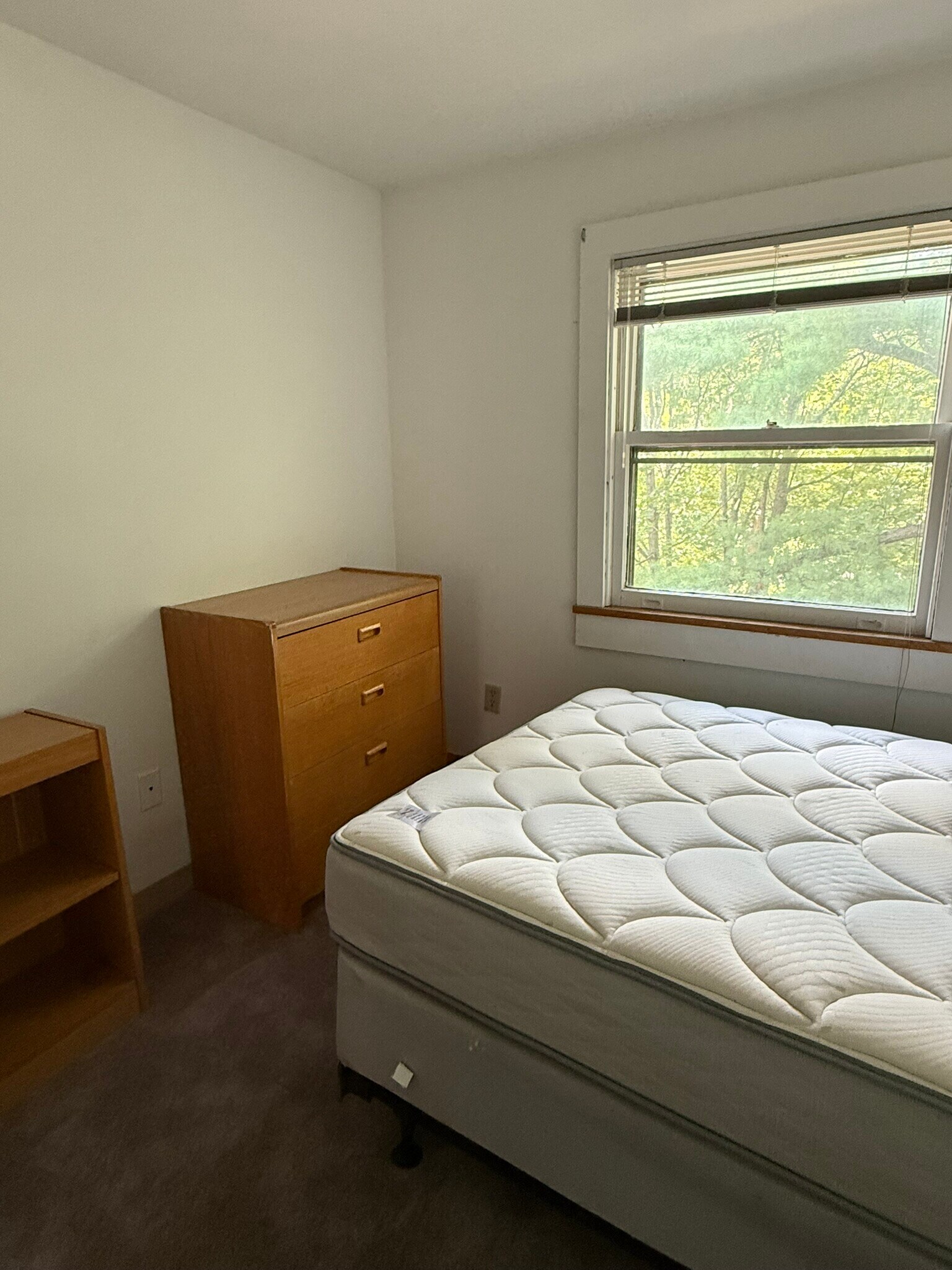 120 Oak Ave unit 3, Ithaca, NY 14850 - photo 1