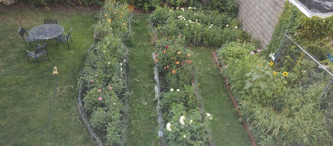 View of backyard garden from kitchen window