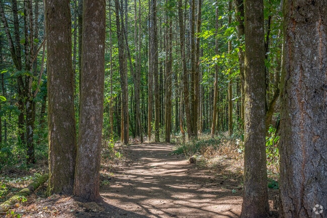 Serene view of Skyline Trail in the Sunnyslope neighborhood.