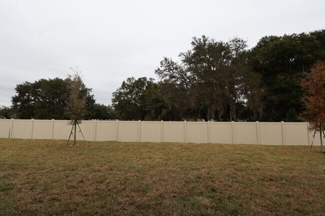 3802 Wolves Creek Place, Apopka, FL 32712 - photo 3