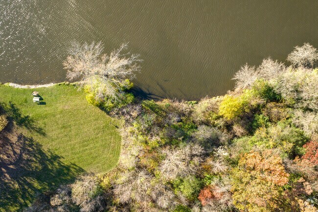 Irregular bank of a lake meeting the forest preserve at Brookdale Conservation Area.