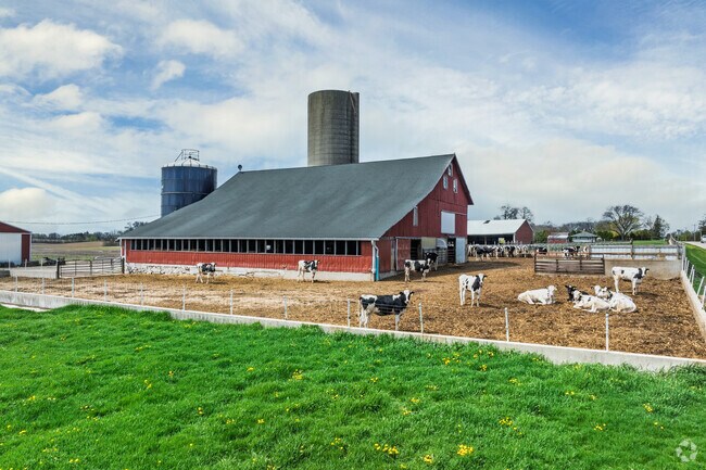 Cows and horses are common sights along Brighton’s country roads.