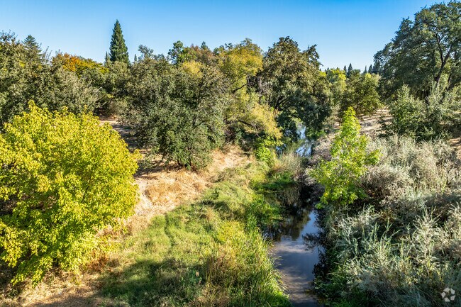 Linda Creek is just one of the creeks and grassland areas in Roseville.