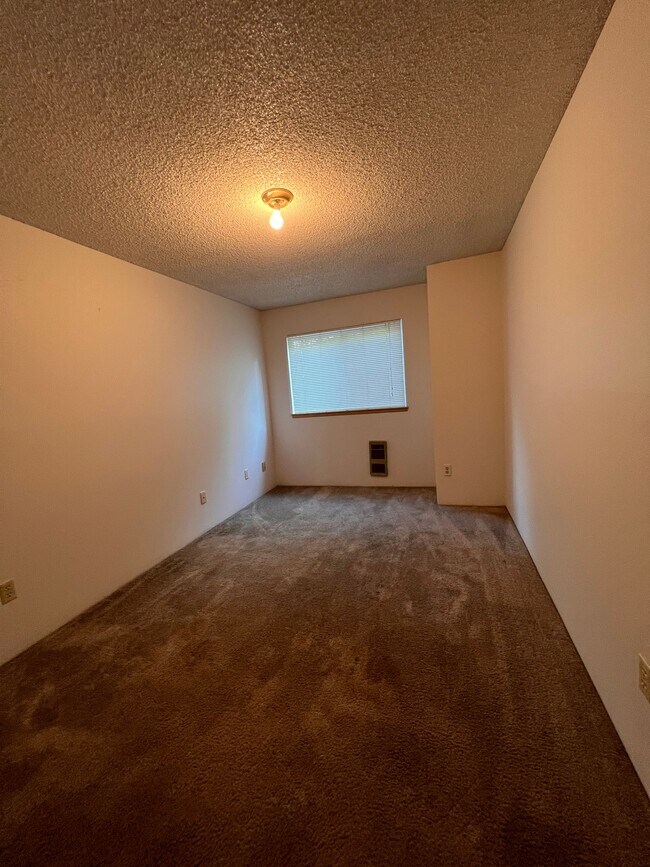 Mountain View Apartment, Seattle, WA 98125 - photo 7