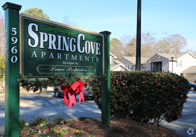 Spring Cove, Columbus, GA 31909 - photo 6