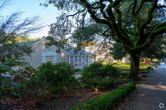Old Mill Elementary School focuses on the higher education of its students in Mill Valley.