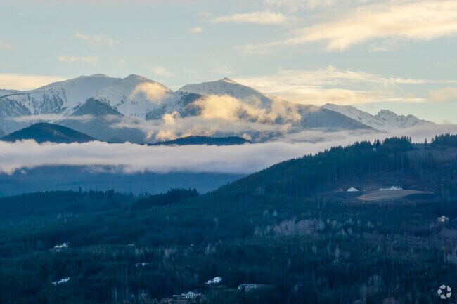 Sun sets on the towering Olympic National Forest in Sequim WA.