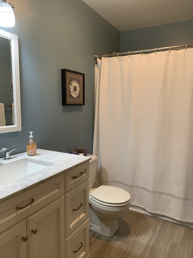 Upstairs main bath