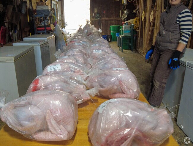 Sturgeon Creek Farm prepares for Thanksgiving in East Eliot.