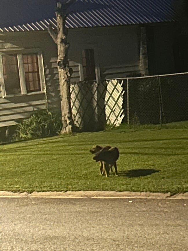 135 Persimmon St, Thomasville, GA 31792 - photo 2