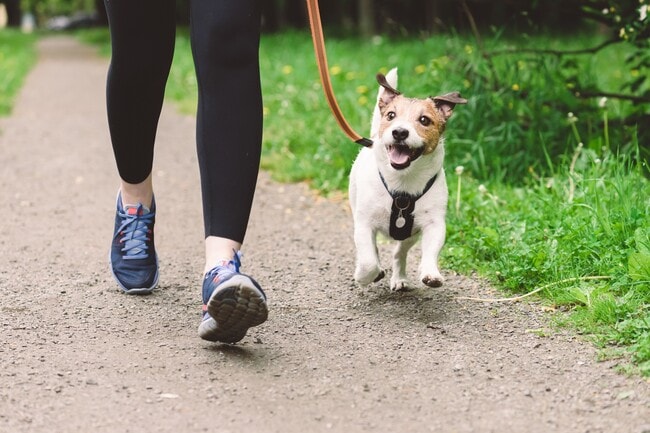 Your furry friends will love their new home and the scenic walking paths lined with beautiful trees. Plus, the Winter Lakes dog park is just down the road.