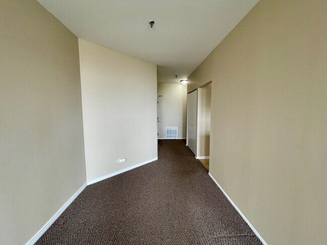 40 E Cedar St unit 15E, Chicago, IL 60611 - photo 5